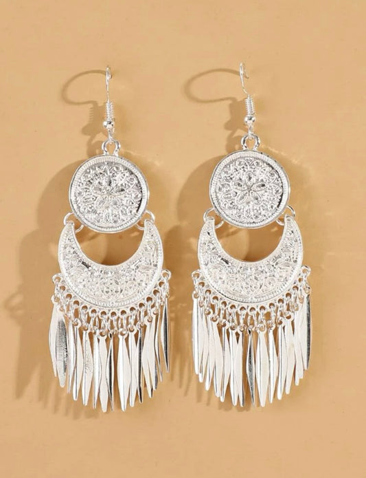 Silver Shining Earrings