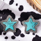 Staring Turquoise Earrings