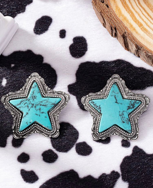 Staring Turquoise Earrings