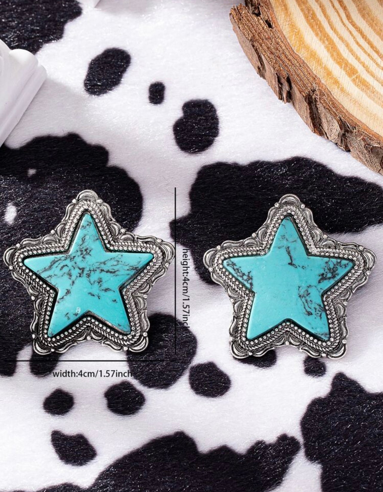 Staring Turquoise Earrings